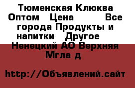 Тюменская Клюква Оптом › Цена ­ 200 - Все города Продукты и напитки » Другое   . Ненецкий АО,Верхняя Мгла д.